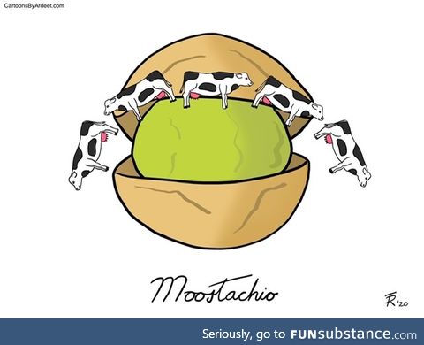 Moostachio