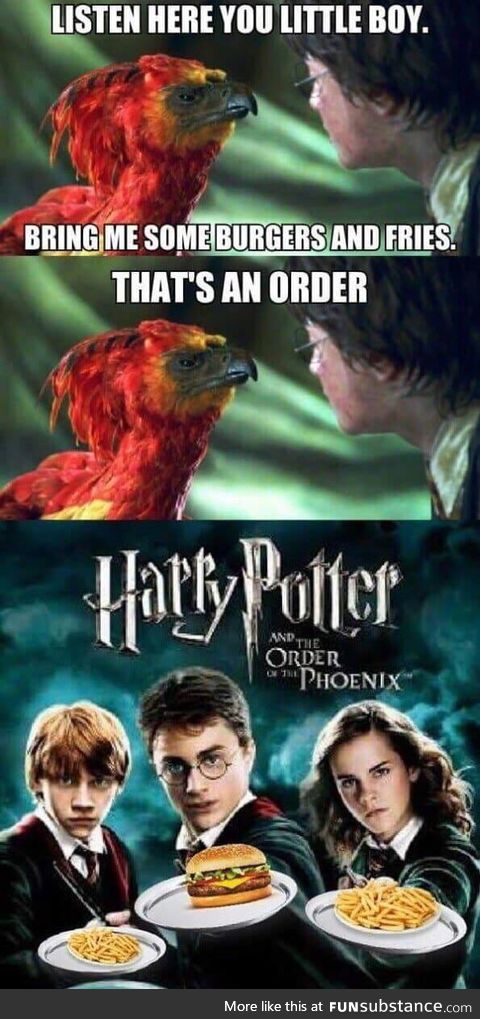 The Order of the Phoenix