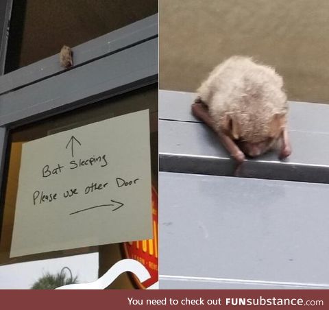 Bro looking out for a bat