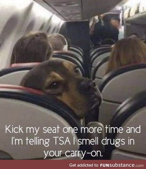 Doggo tell