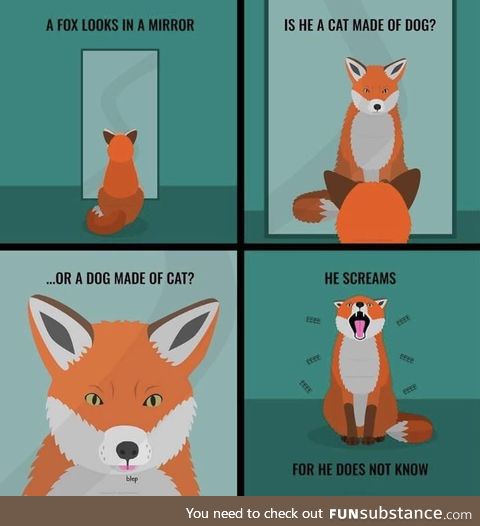 The fox doesn’t know