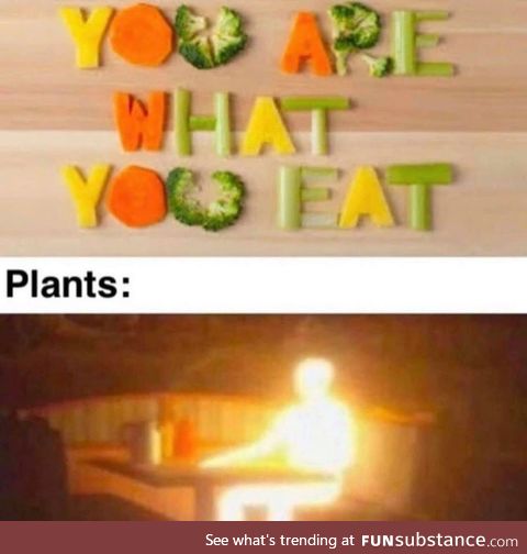 Must be why vegans think they're so bright