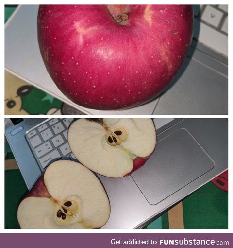 I just found out I can actually rip apple in half.