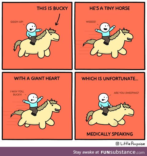 Bucky the Horse