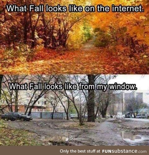 Fall - world wide web vs reality