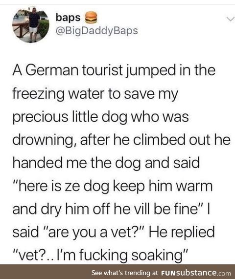 A german saving a little dog