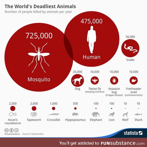 Deadliest animals on the planet