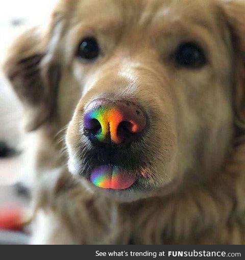 Rainbow bleps