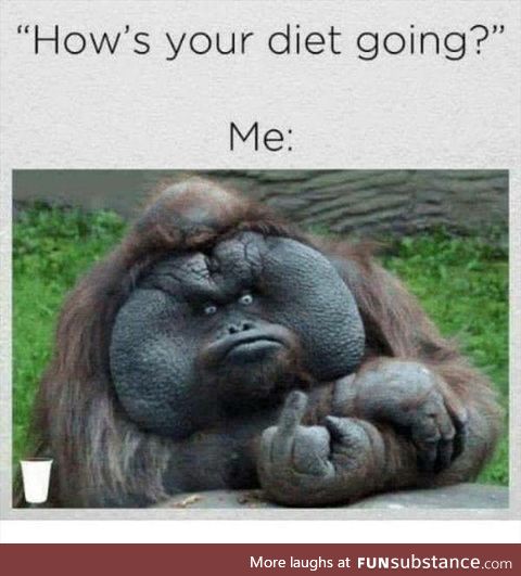 Hows your diet going!?