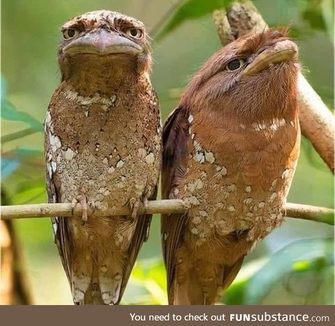 I don’t know a lot about birds, but I think this couple had an argument