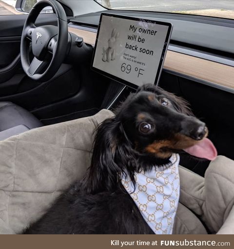 Tesla cars are designed with a dog mode display that indicates the interior temperature