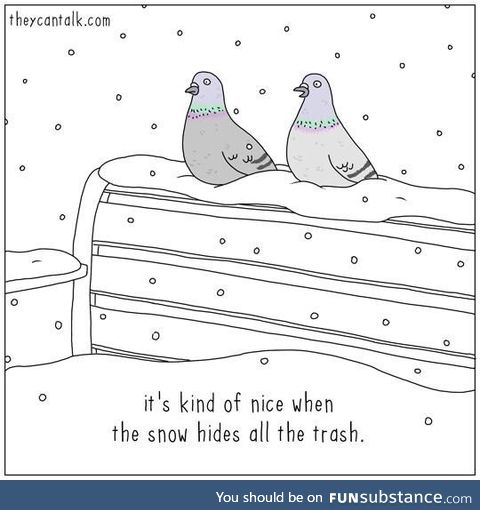 Winter wonderland is for the birds