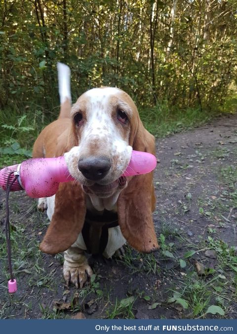 Took her out on the trail today. She ran off and found this still vibrating. 10/10 will