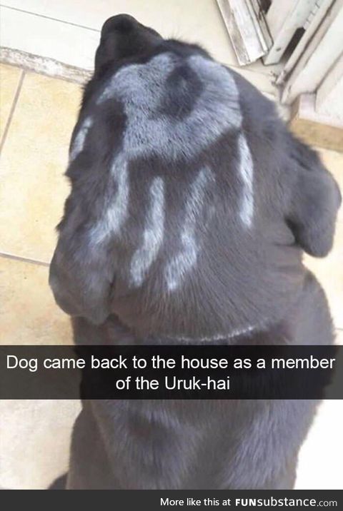 Uruk-woof ????