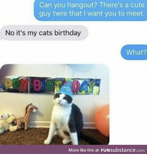 Birthday cat!!!