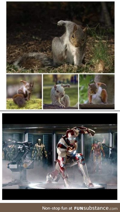 Realizing that squirrels usually land like Iron Man