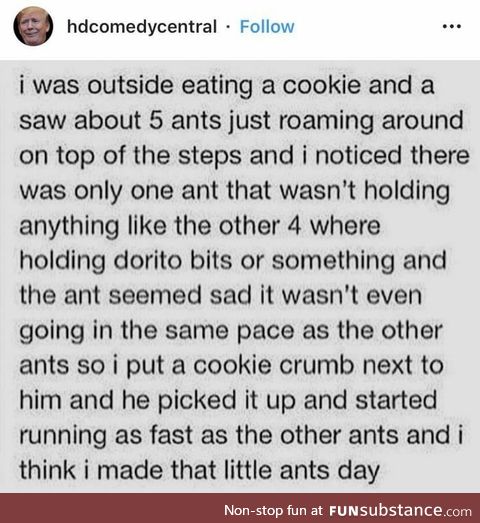 Wholesome ant support