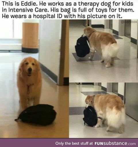 Good boi :)