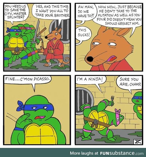 The fifth turtle