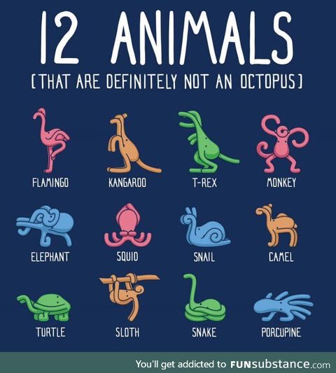 12 Animals