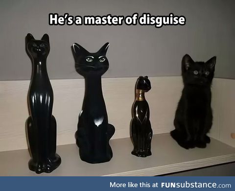 He's a master of disguise