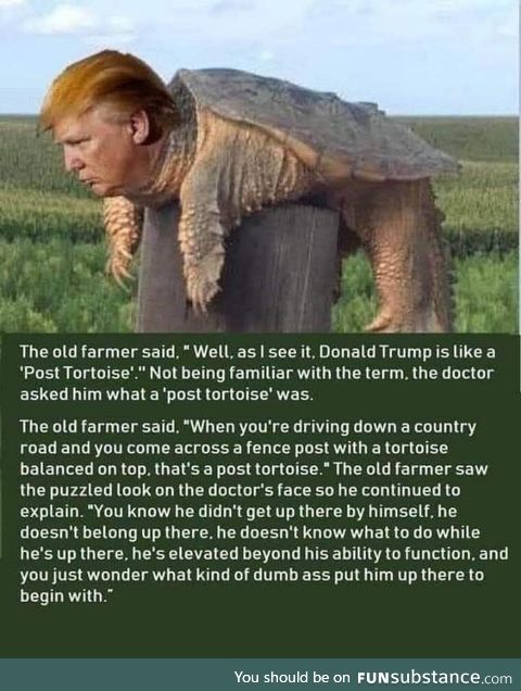 Make post tortoises great again