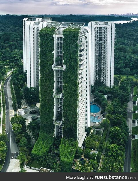 Some Singapore buildings are plant covered which help them to cool down the neighboring