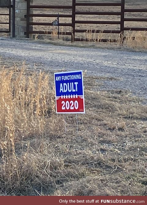 Any functioning adult for 2020!