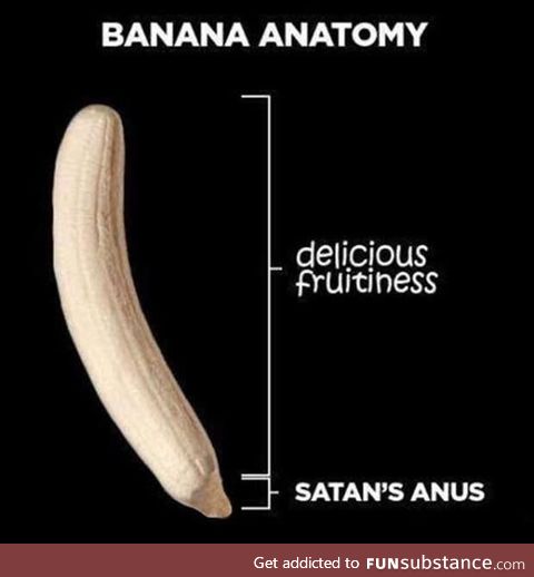 Banana anatomy