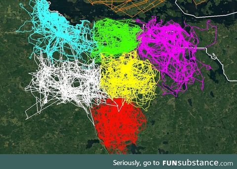 Movement of six different wolf packs over a four month period