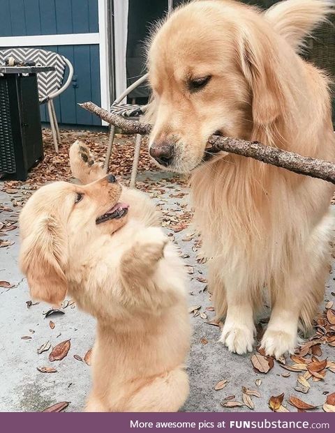 Aspiring branch manager