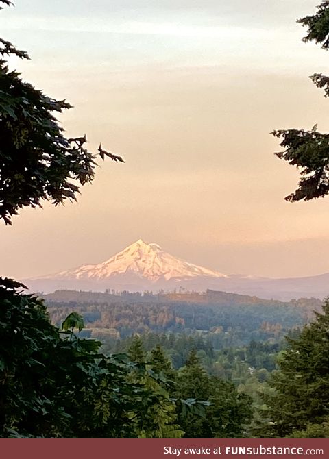 Mount Hood, right now, from our bedroom