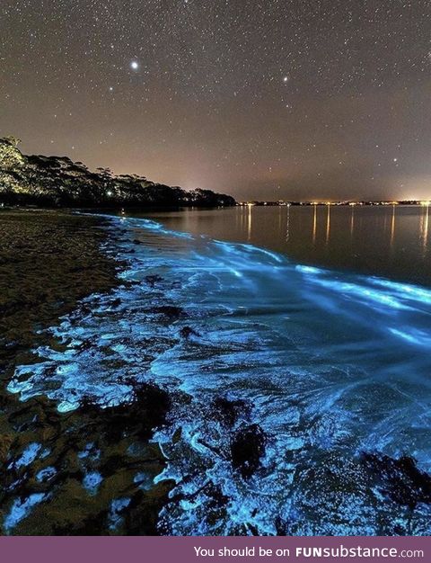 Bioluminescence in Jervis Bay, Australia