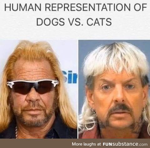 Dogs vs. Cats