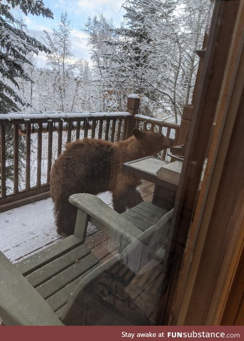 Easter bunny looks different in the mountains