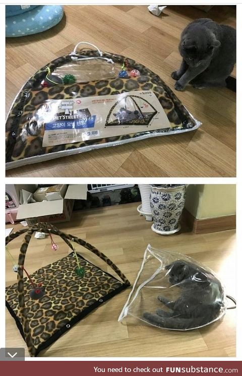 Cat tent