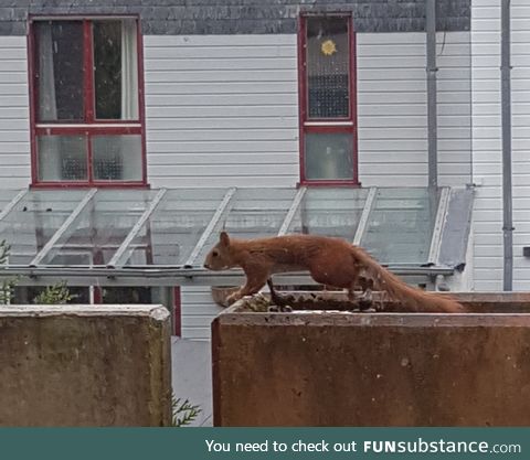 On our balcony in the rain