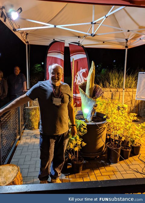 The Corpse flower at WSU is blooming under a full moon tonight after 17 yearsof waiting