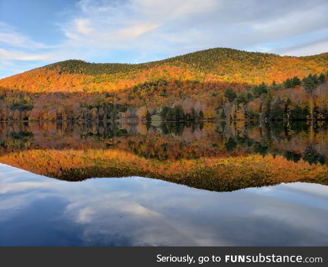 The leaves in VT right now