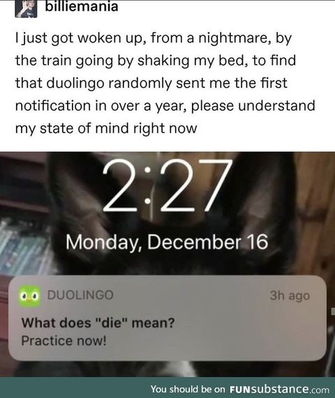 Damn Duolingo