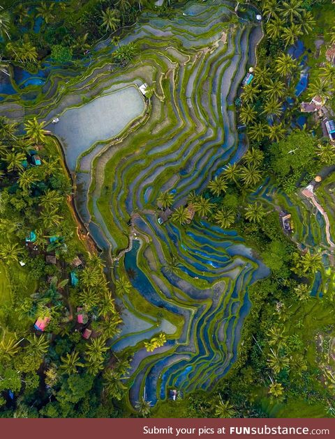 Phenomenal colors of Bali