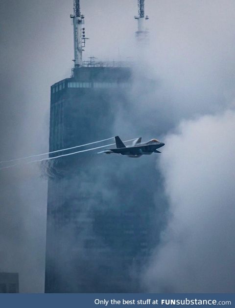 Raptor in Chicago