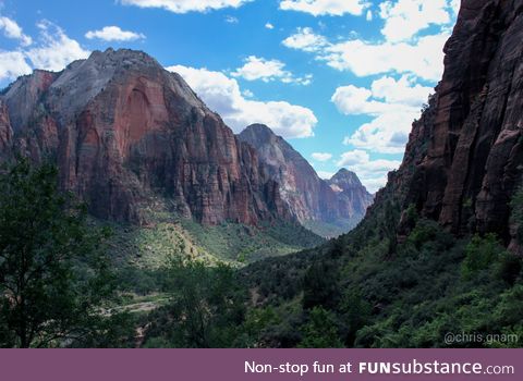 Zion has to be one of the most magical places on Earth