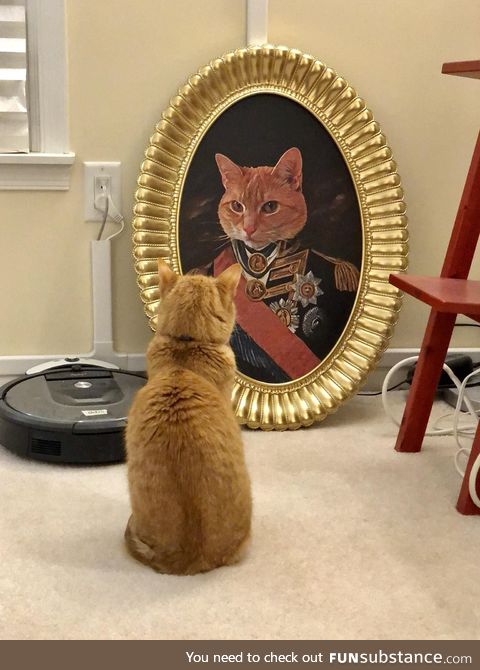 Wife asked if we could hang a picture of the cat in the hallway. Photoshop to the rescue!