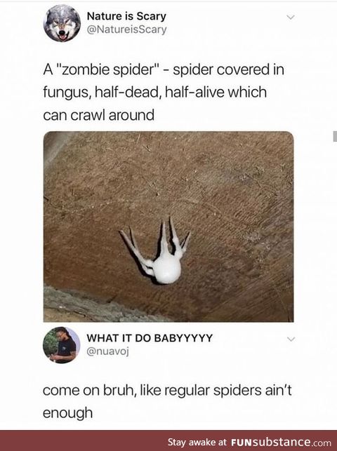 Zombie spider