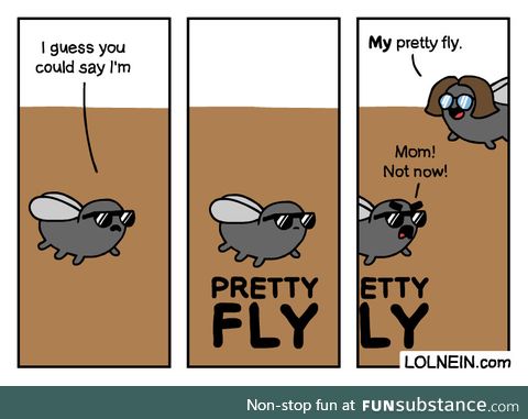 Pretty fly