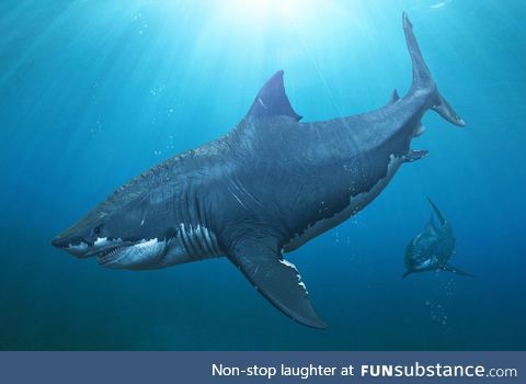 Fishy Fun Day #56: Megalodon @SuperDave