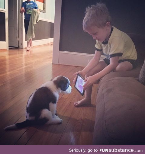 He decided to skip the middle man and show dog training videos directly to the dog