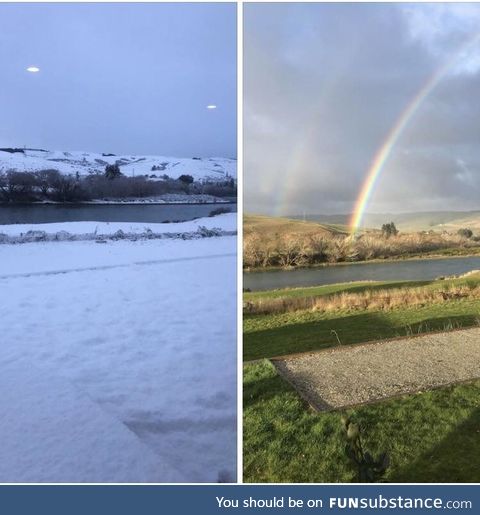 Uncles backyard two days apart- New Zealand