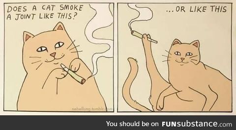 How cats smoke a joint